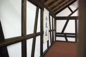 Dojo